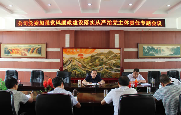 隴運集團公司黨委召開加強黨風(fēng)廉政建設(shè)，全面從嚴治黨落實主體責(zé)任專題會議