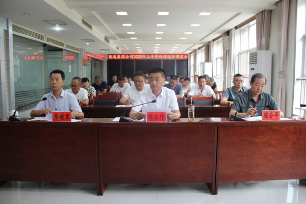 隴運集團公司召開2023年上半年經(jīng)濟運行調度會
